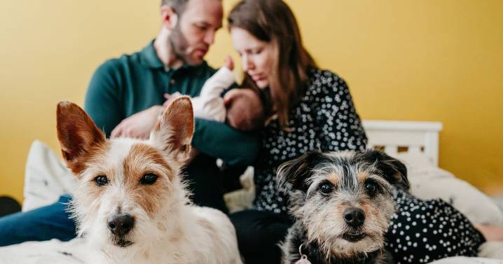 22 paws-itive parenting tips to help your dog bond with a new baby