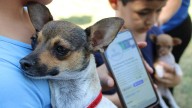 ¿Vives en Punta Oriente? Llevarán servicios para mascotas el sábado