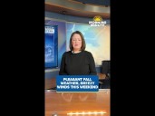 Salons partner with Haven to spot and respond to domestic violence signs