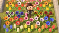 Animal Crossing: Every Flower Type & How To Get Them