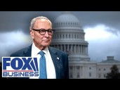SHUTDOWN 'TANTRUM': Scalise unloads on Schumer over ‘twisted’ tactics