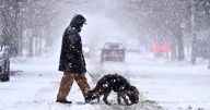 Estados Unidos en alerta | Pronostican nevadas severas para gran parte del país y preocupa a todos: habrá heladas históricas