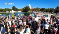 Miles marchan en Washington por Palestina y el fin del genocidio