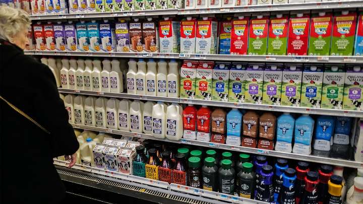 Boston considers government-owned grocery stores after Atlanta success