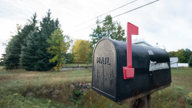 Peel police charge 8 people after more than $400k worth of mail allegedly stolen