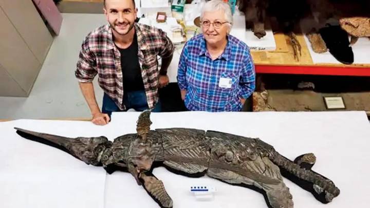 New species of ancient marine reptile discovered from rare UK fossil find