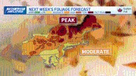 Fall foliage map 2025 New England: Your guide to leaf peeping