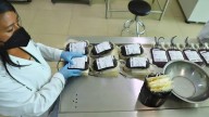 Los hospitales se enfrentan a la escasez de Sangre: Dr. Huerta
