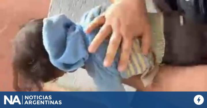 Una madre llegó desesperada a una comisaría con su bebé que no respiraba y los policías le salvaron la vida
