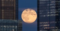 Exact time rare October Harvest Full Moon 2025 will be visible in London