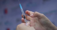 Boric destaca política pública contra Sincicial tras reportaje de The Lancet: “Ha logrado que en los últimos 2 años no mueran bebés”