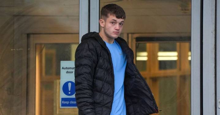 Teen guilty of sex act with rocking horse and branch in Hartlepool play area