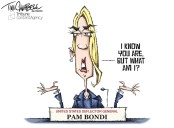 Cartoon: Totally tactful testimony