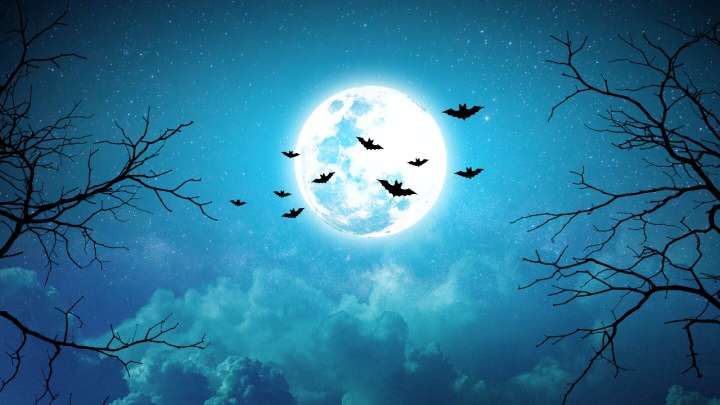 Portal de Samhain: ¿Cuál es el significado espiritual del 31 de octubre y la noche de Halloween?