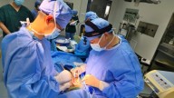 Chinese doctors transplant pig liver into human. He lived for 171 days