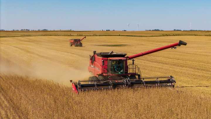 Chinese pledge of purchases sends soybean prices to 15