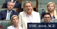 'Displaying the wrong values': Sussan Ley attacks PM over Joy Division T
