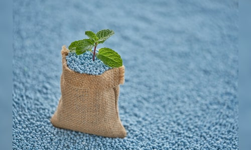 Cabinet clears ₹37,952 crore nutrient-based subsidy for rabi 2025