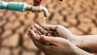 AP minister blames water, sanitation in Kurupam jaundice crisis