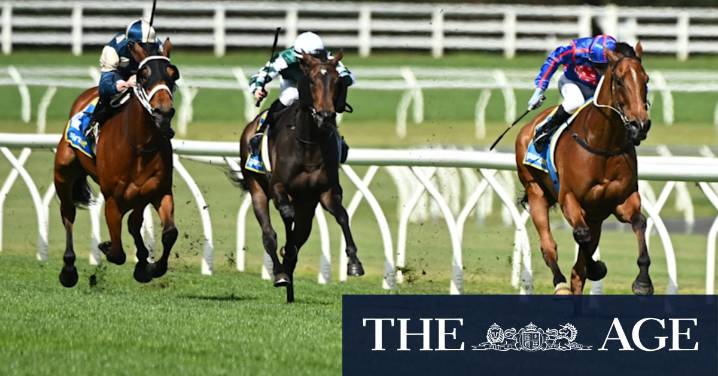 Spring Racing Carnival: The four-horse race that proved a million-dollar ‘heist’ at Caulfield the day after John Kanga resigned as Melbourne Racing Club chairman