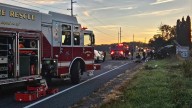 Driver asleep at the wheel crashes head