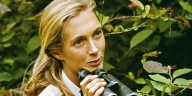 United Way CEO: In Jane Goodall, we lost one of humanity's clearest voices. The work begins now