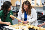 When bones turn up in Florida, this professor gets the call
