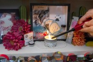 Before the Day of the Dead, a time to welcome departed dogs and cats as families create ‘pet ofrendas’