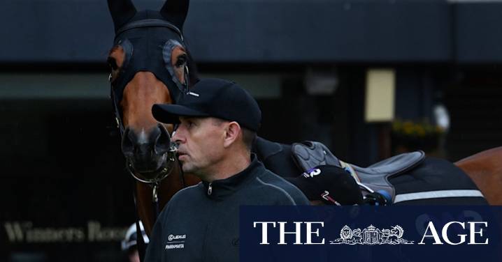 Chris Waller’s Golden Eagle favourite has won her first seven starts. Is she the next Winx?