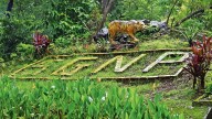 Extensive camera trap study to be carried out between city, Goa