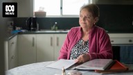 Forced adoption redress scheme to offer compensation for impacted Tasmanians