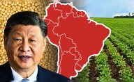 El país de América Latina que supera a EE. UU. como principal exportador de las materias primas más importantes para China