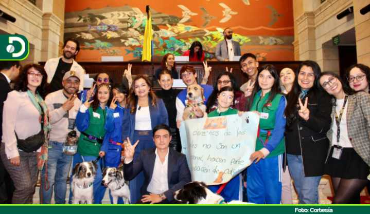 Fue aprobada la “Ley Empatía”: estudiantes deberán aprender sobre respeto y cuidado hacia los animales