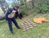 Cuerpo de Policía Nacional Bolivariana incauta 10 kilogramos de marihuana en el estado Apure
