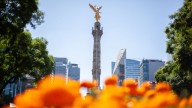 Aquí se Sienten Más Seguros en CDMX: ENSU 2025 Revela Alcaldía Donde se Percibe Menos Peligro