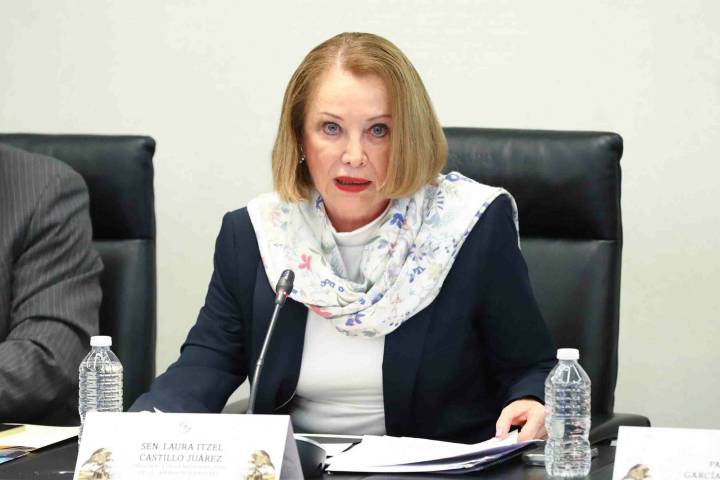 Laura Itzel Castillo prevé intensa semana en el Senado