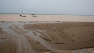 La fauna del Mar Menor empieza a huir del sur porque falta oxígeno: ya hay anoxia en el fondo