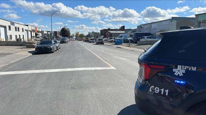 Calls renewed for ban on dangerous dog breeds after woman attacked in Montreal