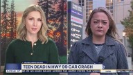 Car plunges 80 feet off SR-99, killing teen in Seattle