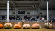 Topsfield Fair giant pumpkin record set