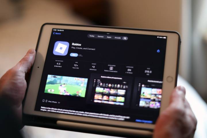 Cass County teen sues Roblox, says she was targeted by ‘predator’ on game