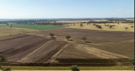 Swinton: 2863 acre farming and grazing opportunity near Delungra