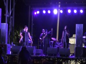 Thousands attend the annual 7th Avenue Heritage Festival
