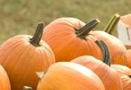 Austin weather history: The hottest, coldest and wettest Halloweens over the years