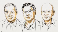 Nobel Economics Prize 2025: Joel Mokyr, Philippe Aghion And Peter Howitt Get Coveted Award; All You Need To Know About Laureates