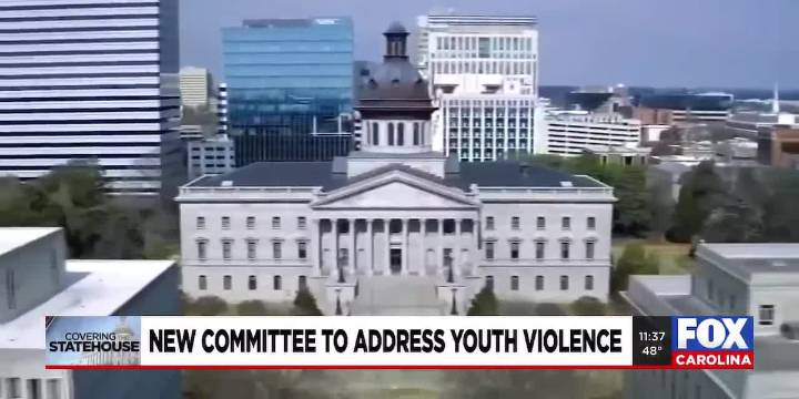 New committee to address youth violence in SC