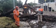 Lluvias causan estragos en la zona metropolitana de Oaxaca