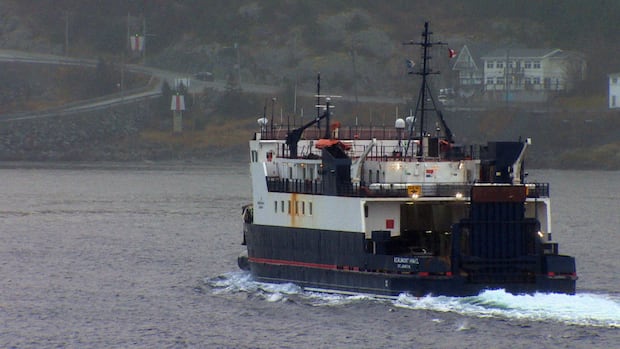 PC promise to boost ferry services is ‘election fodder,’ says skeptical Bell Island resident