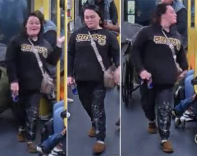 Woman sought as yelling racist puncher on the Orange Line