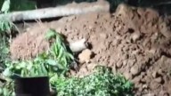 Couple trapped under debris after landslide in Adimali; rescue operations underway